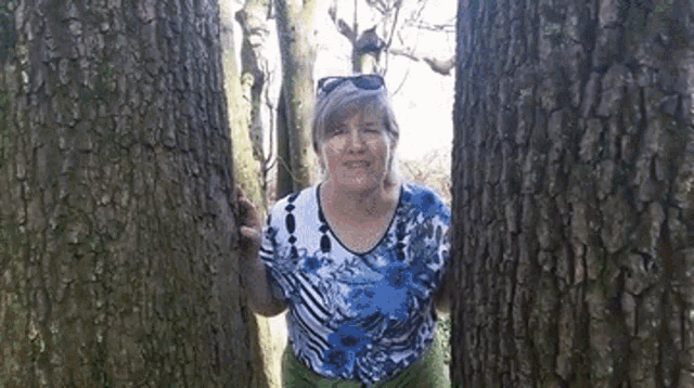 a woman in a blue shirt is standing between two trees in the woods .