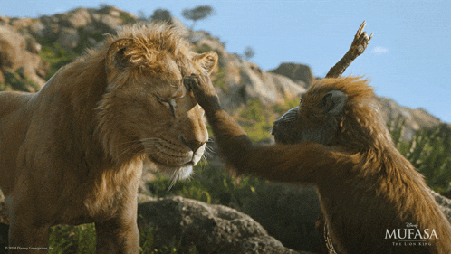 a poster for the lion king shows a monkey petting a lion 's head