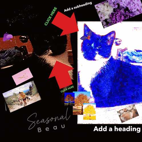 a poster that says seasonal beau and add a heading on the bottom