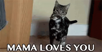 Mama Loves You GIF