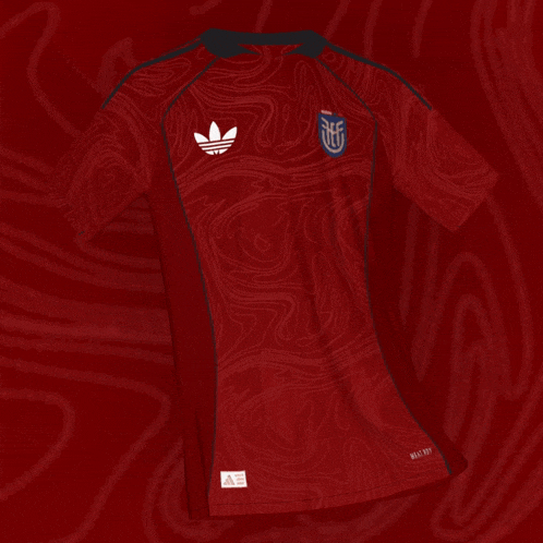a red jersey with the name k paez and the number 10