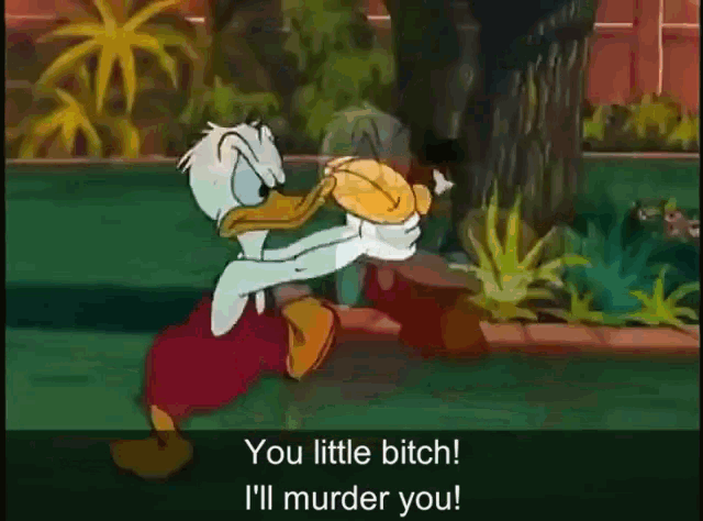 a cartoon of donald duck saying " you little bitch "