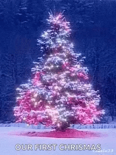 Christmas Tree Spinning GIF - Christmas Tree Spinning Christmas Light GIFs