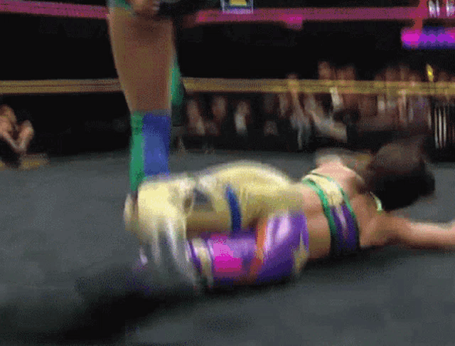 a woman is laying on the ground in a wrestling ring with a sign in the background that says ' wrestling ' on it