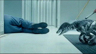 a person laying on the floor next to a dinosaur .
