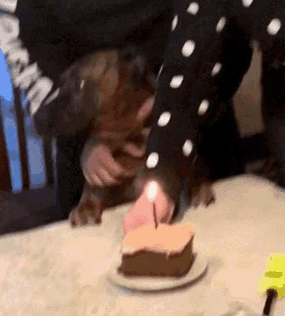 Birthday Cake GIF
