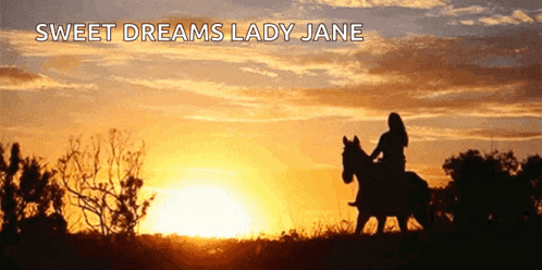 a woman riding a horse with the words sweet dreams lady jane above her