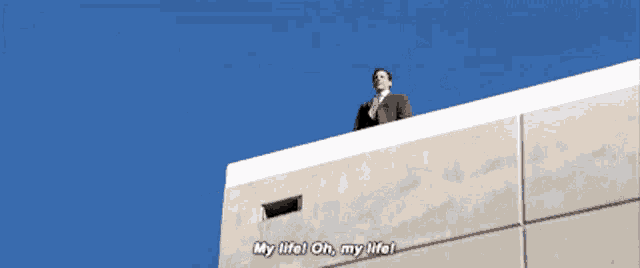 a man in a suit and tie is standing on the roof of a building and says my life oh my life