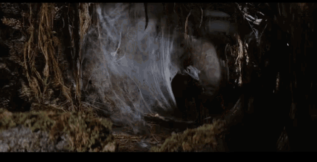 Harrison Ford Raiders Of The Lost Ark GIF - Harrison Ford Raiders Of The Lost Ark GIFs