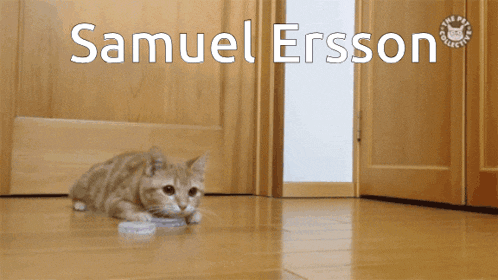 a cat laying on the floor with samuel ersson written on the bottom