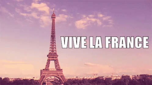 Vive La France GIF - Vive La France La France GIFs
