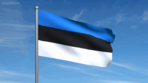 a blue black and white flag is waving in the wind against a blue sky