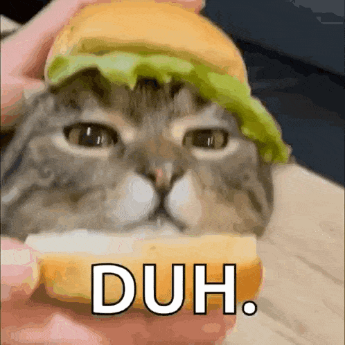 Cat Cute GIF - Cat Cute Burger GIFs