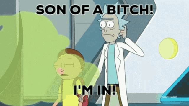 a cartoon of rick and morty saying son of a bitch i 'm in !