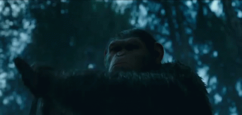 Knocking You Out GIF - War For The Planet Of The Apes Kill You Knock Out GIFs