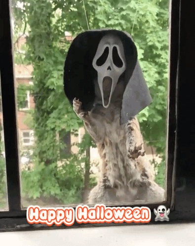 Halloween Halloween Costumes 2023 GIF - Halloween Halloween Costumes 2023 Scary GIFs