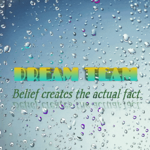a poster that says dream team on it