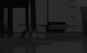 a black and white photo of a person standing next to a cat on the floor .