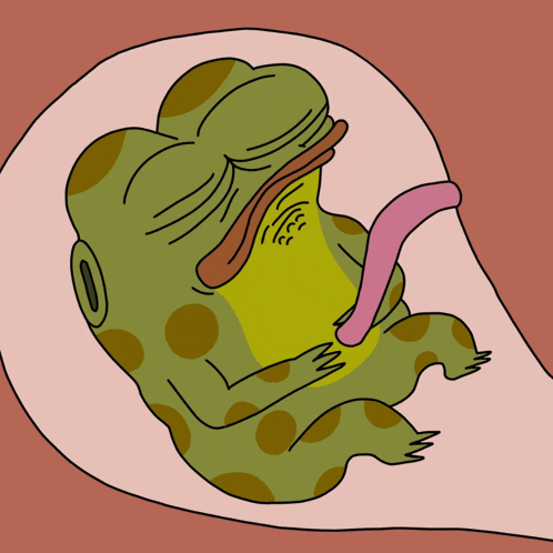 a cartoon frog with a pink tongue sticking out of its mouth