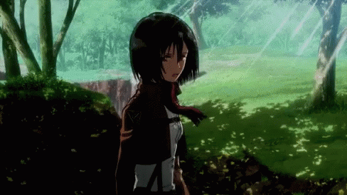 Mikasa Anime GIF - Mikasa Anime Dancing GIFs