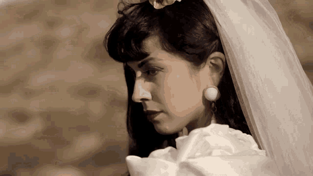 a woman in a white wedding dress with a veil on her head