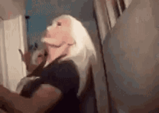 a woman wearing a mask is standing next to a door .