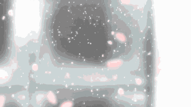 pink petals falling on a white surface