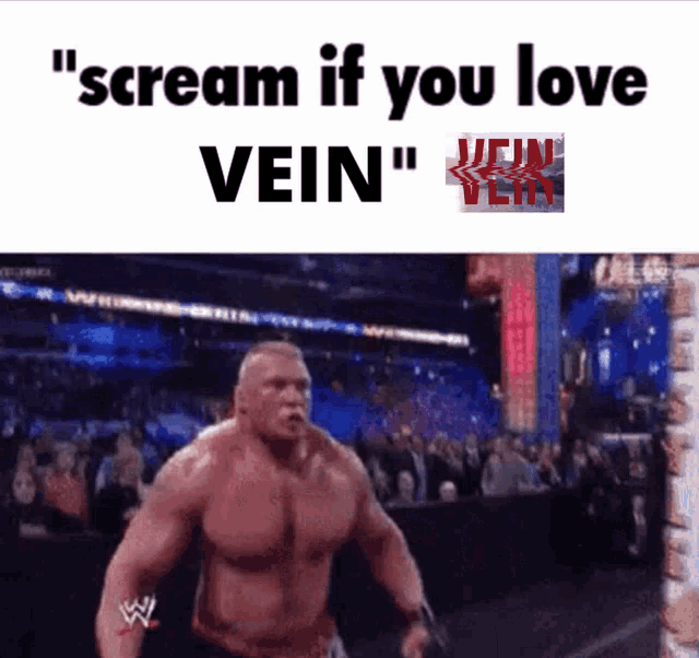 Scream If You Love Vein Vein Game Meme GIF - Scream If You Love Vein Vein Game Meme Veinsurvival Meme GIFs