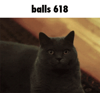 a cat is looking at the camera with the words balls 618 below it