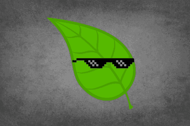 a green leaf wearing a pair of sunglasses