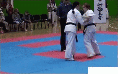 Kick Taekwondo GIF - Kick Taekwondo Crit GIFs