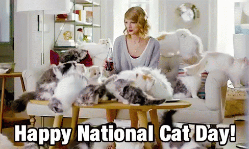 National Cat Day GIF