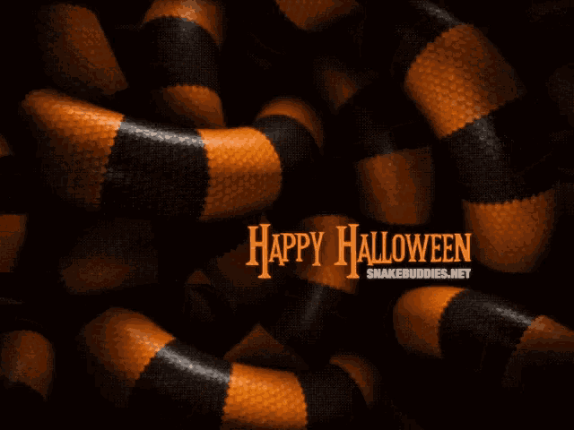 a black and orange snake with the words happy halloween on the bottom