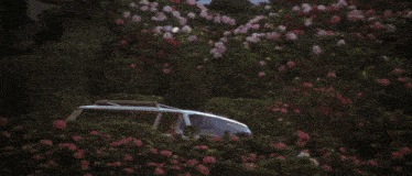 a bunch of cars are parked in front of a house surrounded by flowers