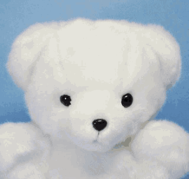 a white teddy bear with black eyes and a black nose