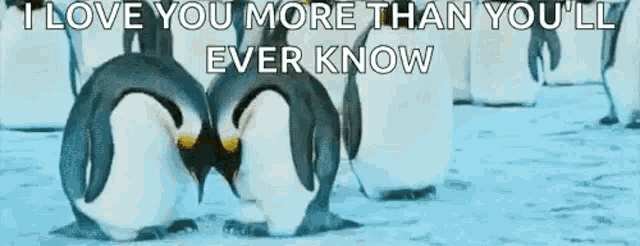 Love Cuddle GIF