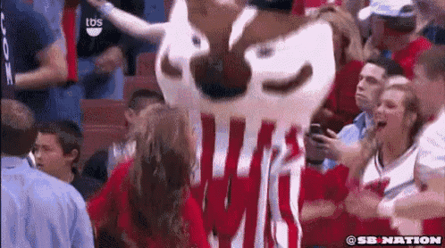a mascot in a red and white striped shirt is standing in a crowd .