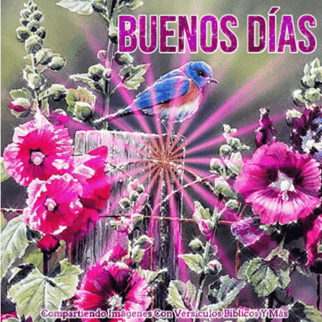 a bird is perched on a fence post with the words buenos dias