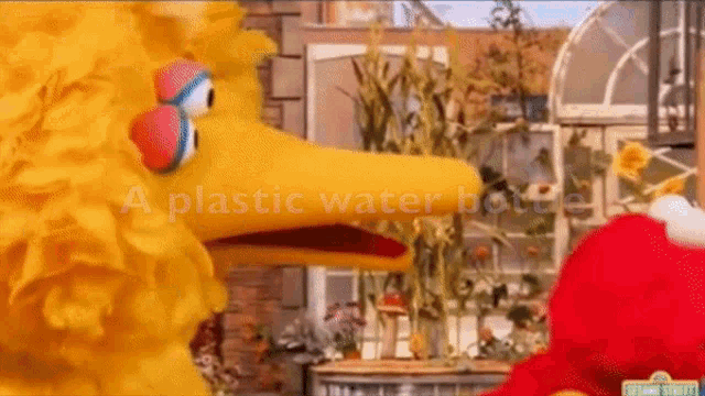 elmo and big bird from sesame street are talking to each other