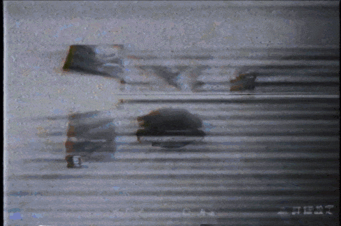 a blurred image of a person with the word west on the bottom right corner