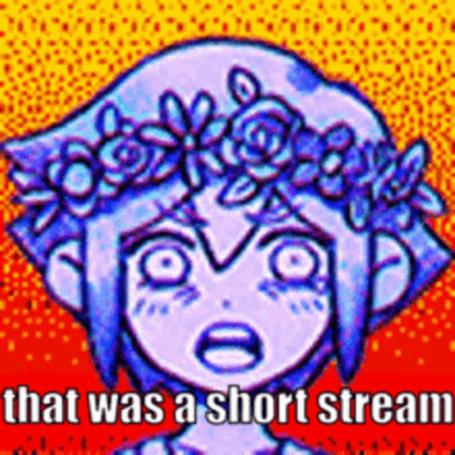 a cartoon girl with a flower crown on her head and the words `` that was a short stream '' .