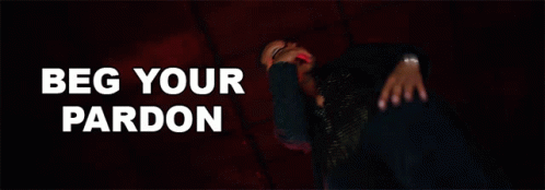 Beg Your Pardon Ti GIF - Beg Your Pardon Ti Pardon Song GIFs