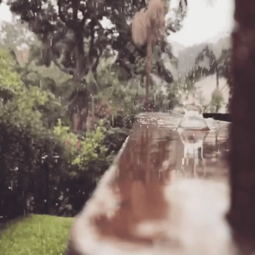 Rain Drops GIF - Rain Drops GIFs