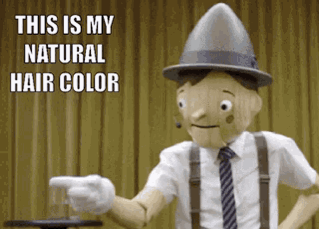 a wooden puppet is pointing at something with the words " this is my natural hair color " behind him