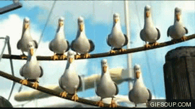 a bunch of seagulls standing on a wire with gifsoup.com in the bottom right corner