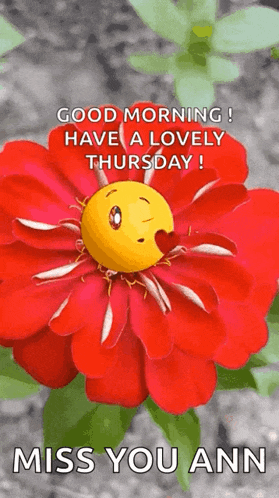 a red flower with a smiley face on it .