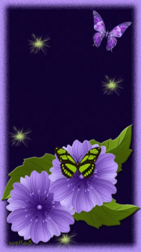 Butterfly Purple GIF