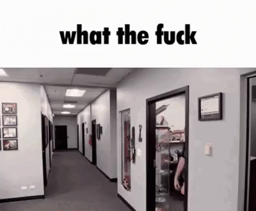 What The Fuck GIF - What The Fuck GIFs