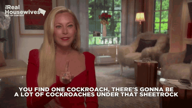 a woman is talking about cockroaches in a real housewives video