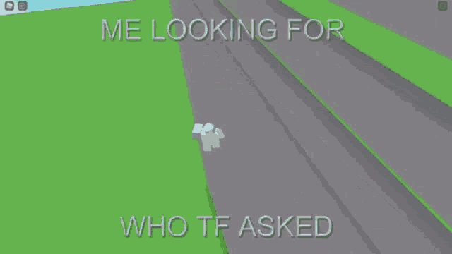 a screenshot of a video game with the words `` me looking for who tf asked '' written on it .
